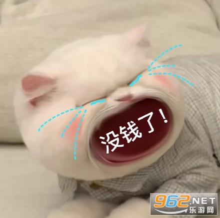 è�������ޱ����