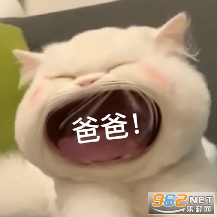 è�������ޱ����