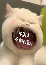 �й��˲�ƭ�й��˱����