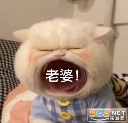 è�������ޱ����(è��������)��ͼ4