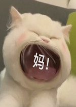 è�������ޱ����