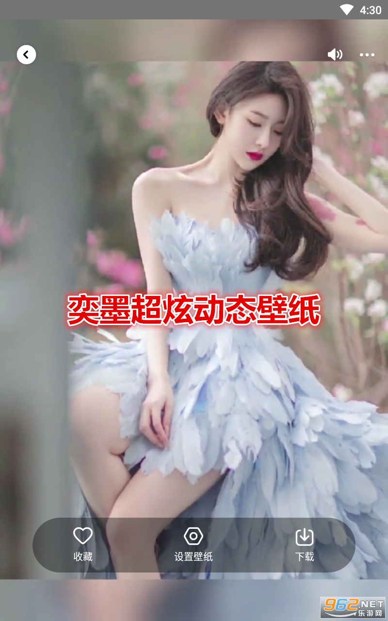 ��ī���Ŷ�̬��ֽ����