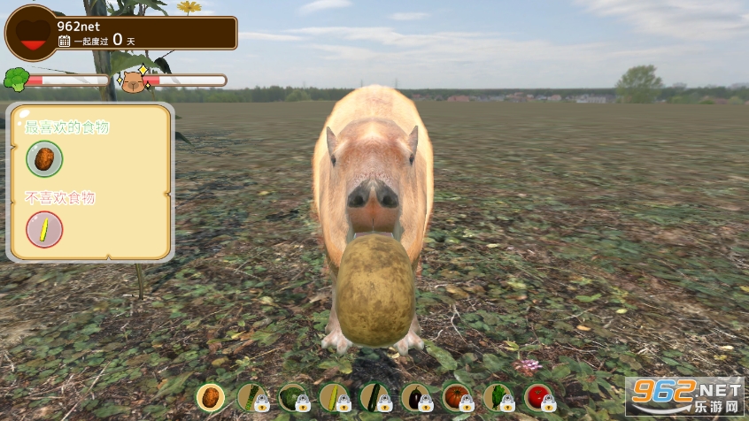 capybaraˮ����Ȫ�ƽ��