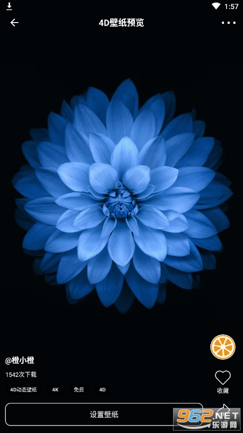 ����4D��̬��ֽapp��ͼ0