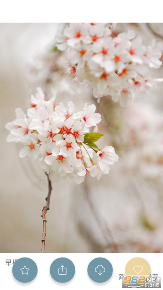 ��ͼ��app��ͼ4