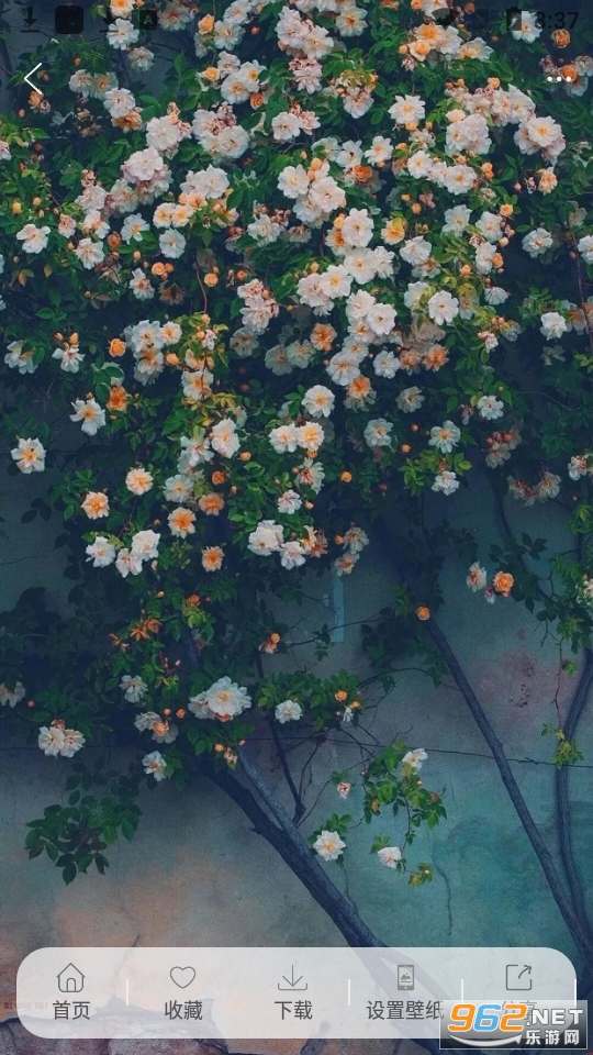 ��Ů��ֽapp��׿�� v1.3.8��ͼ10