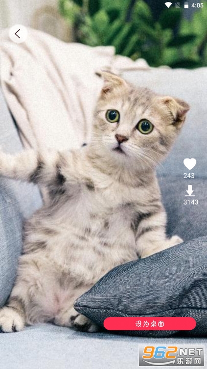 ���ݱ�ֽappv2.0.3�������ͼ2