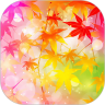 ��Ҷ��ֽapp