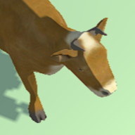 ��ƽũ�����޽�����°�