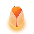 ө��֮��app