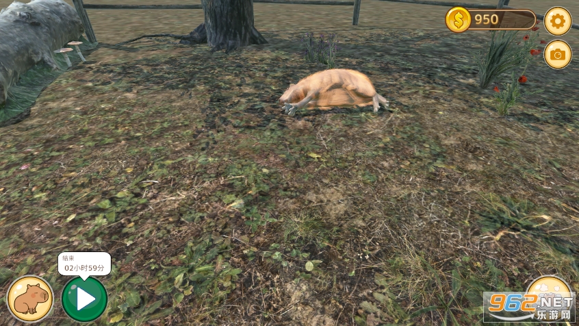ˮ����Ȫ(capybara)��ͼ2
