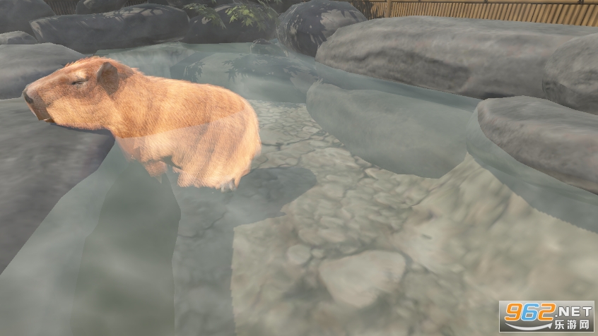 ˮ����Ȫ(capybara)��ͼ1