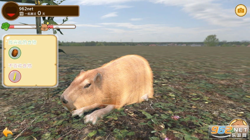 ˮ����Ȫ(capybara)��ͼ3
