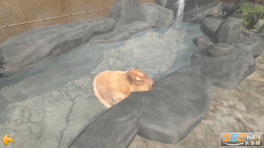 ˮ����Ȫ(capybara)��ͼ0