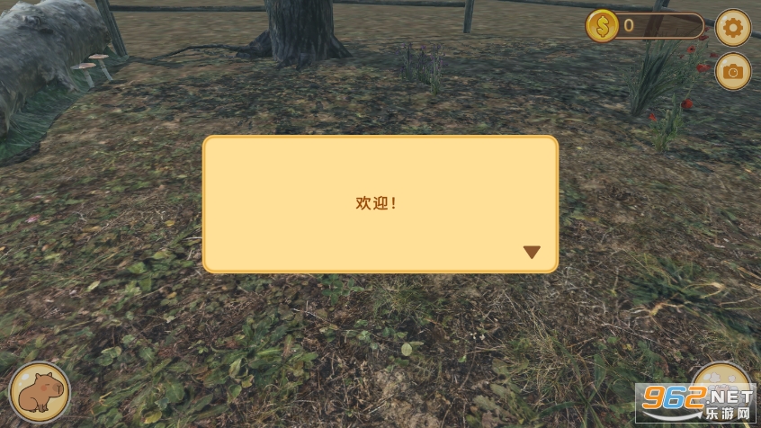 ˮ����Ȫ(capybara)��ͼ5