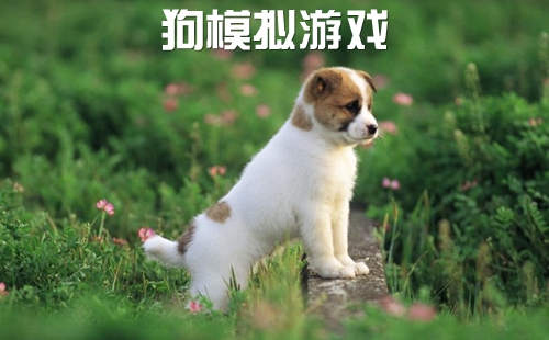 ���ڹ�����Ϸ��ȫ_����ģ������Ϸ����_����ģ��������