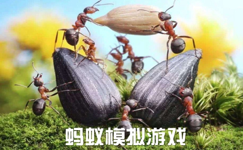 �������ϵ���Ϸ_ģ�����ϵ���Ϸ_����ģ������Ϸ��ȫ