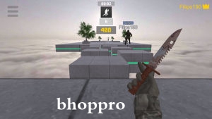 bhoppro��������