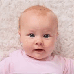 avatarify��ôע�� avatarify��ô��¼(��ͼ)