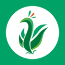 �̶���app