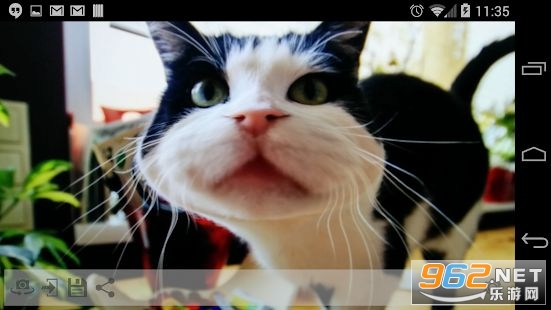 ������Funny Mirrorħ�þ���appv1.16 ���°��ͼ5