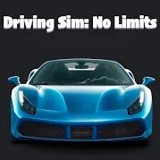 Driving Sim No Limits��׿��