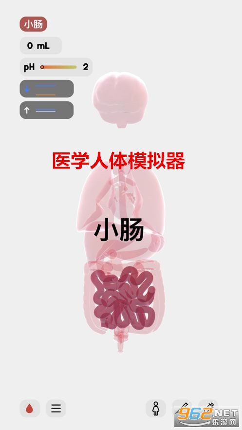 ҽѧ����ģ�����ֻ�
