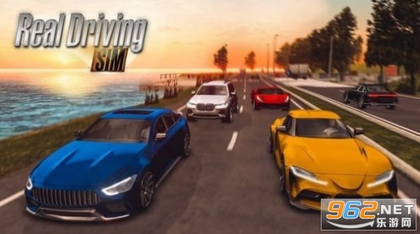 realdrivingsim最新破解版2021 realdrivingsim最新破解版2021