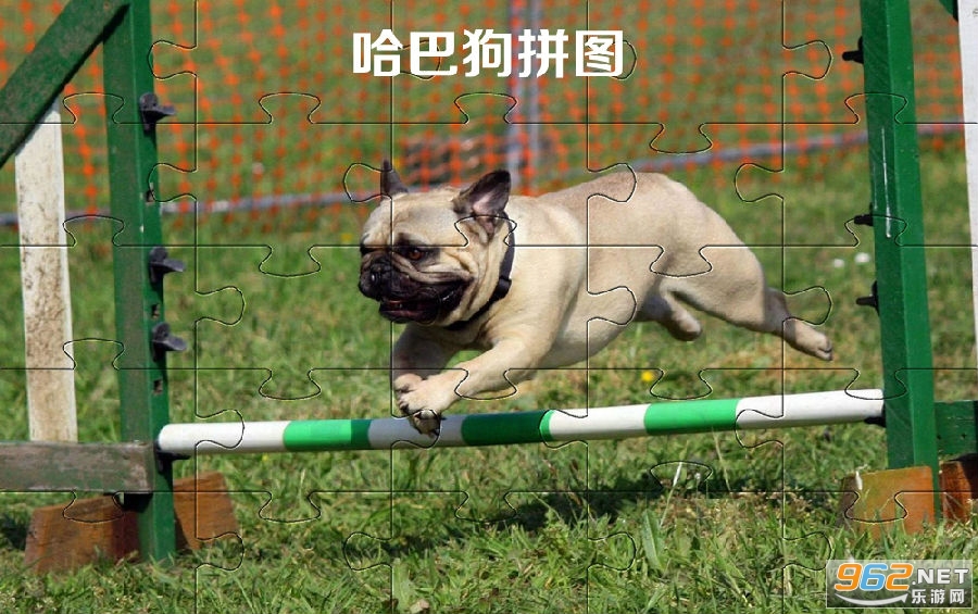 ���͹�ƴͼ�ֻ���Ϸ