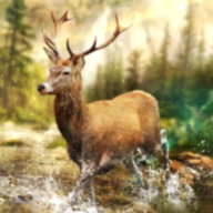 ���Գ�ͻ2022(Hunting Clash)