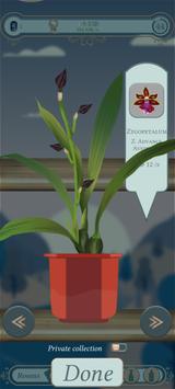 The Black Orchid���İ��ͼ2
