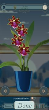 The Black Orchid���İ��ͼ1