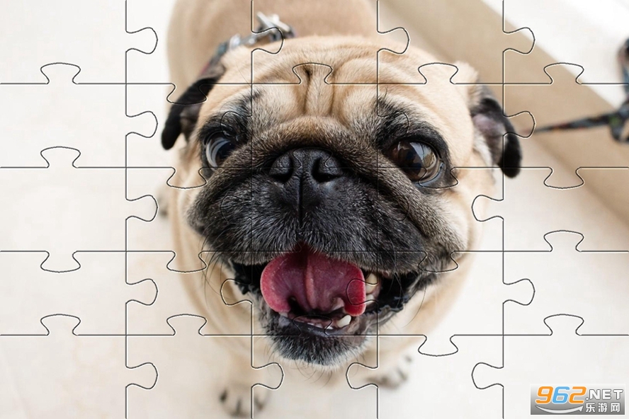 Pugs Jigsaw Puzzle(���͹�ƴͼ�ֻ���Ϸ)v1.0.1 ��׿���ͼ1