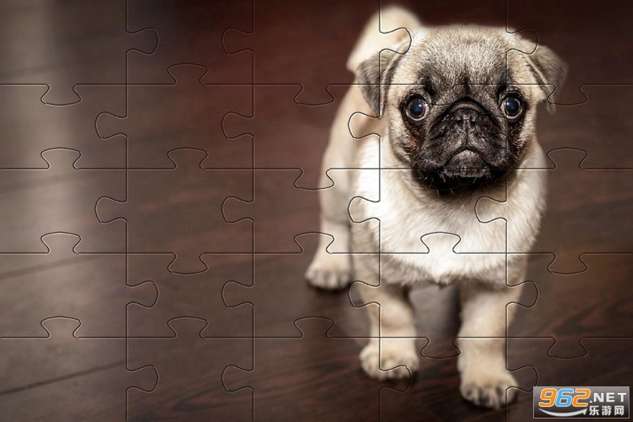 Pugs Jigsaw Puzzle(���͹�ƴͼ�ֻ���Ϸ)v1.0.1 ��׿���ͼ2