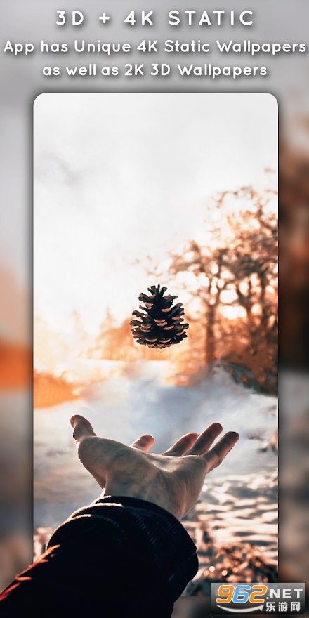 3D�Ӳ̬��ֽv1.5.3��ͼ10
