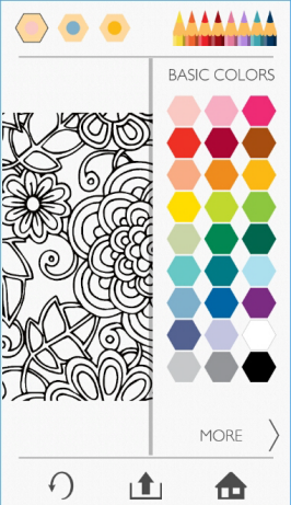 ColorfyͿɫ������VIP���ͼ3