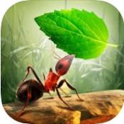 Little Ant Colony(С���ϲ���ٷ���)