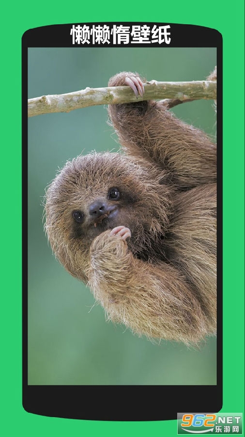 �������ֽapp