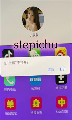stepichu���� stepichu��һ���Ӻ�����ô����