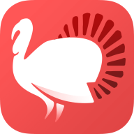 ������׬app
