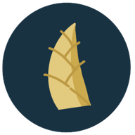 ��֦app