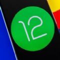 Android12Ԥ����