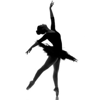 Ballet Wallpapers�������ֽ