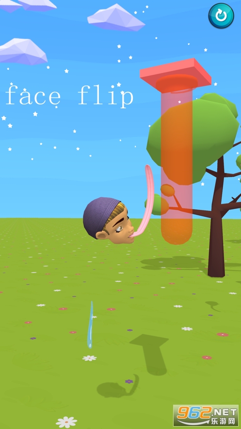 face flip��Ϸ