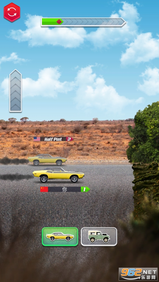Multi Race: Match The Car截图2