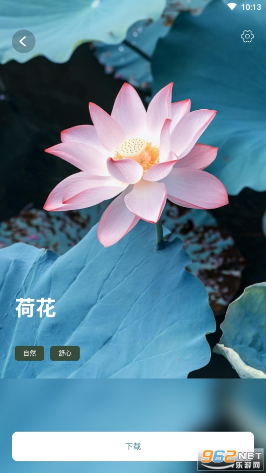��˯˯���������°洿����v1.0.0��ͼ1