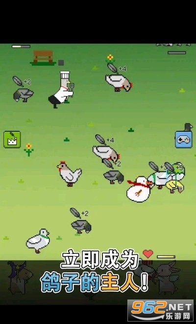 ����ս��비둘기키우기��ͼ2