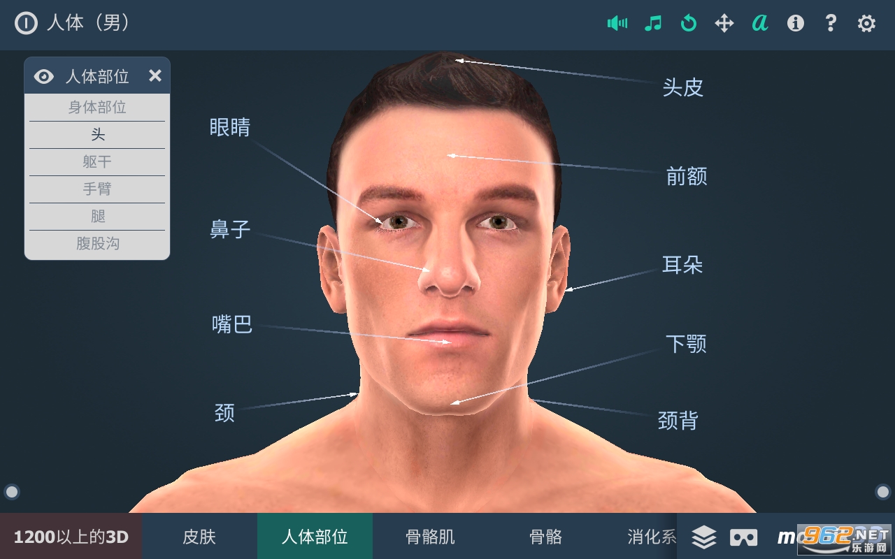 Human body (male)(����ϵͳ3d���İ�)v1.24 app(����)��ͼ1