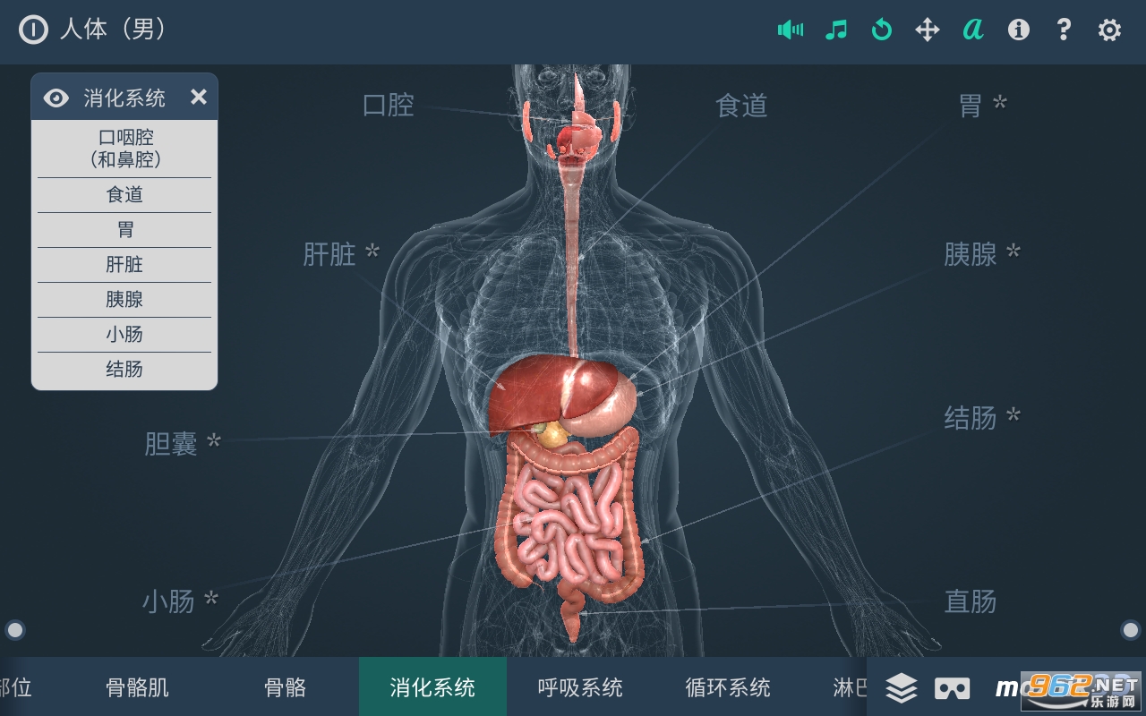 Human body (male)(����ϵͳ3d���İ�)v1.24 app(����)��ͼ2
