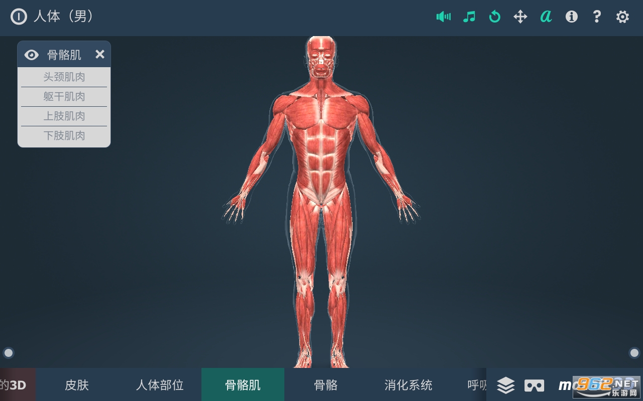 Human body (male)(����ϵͳ3d���İ�)v1.24 app(����)��ͼ0